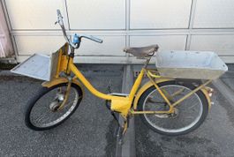 Gelbes Condor Velo, Jahrgang 1969, Rarität für Sammler!