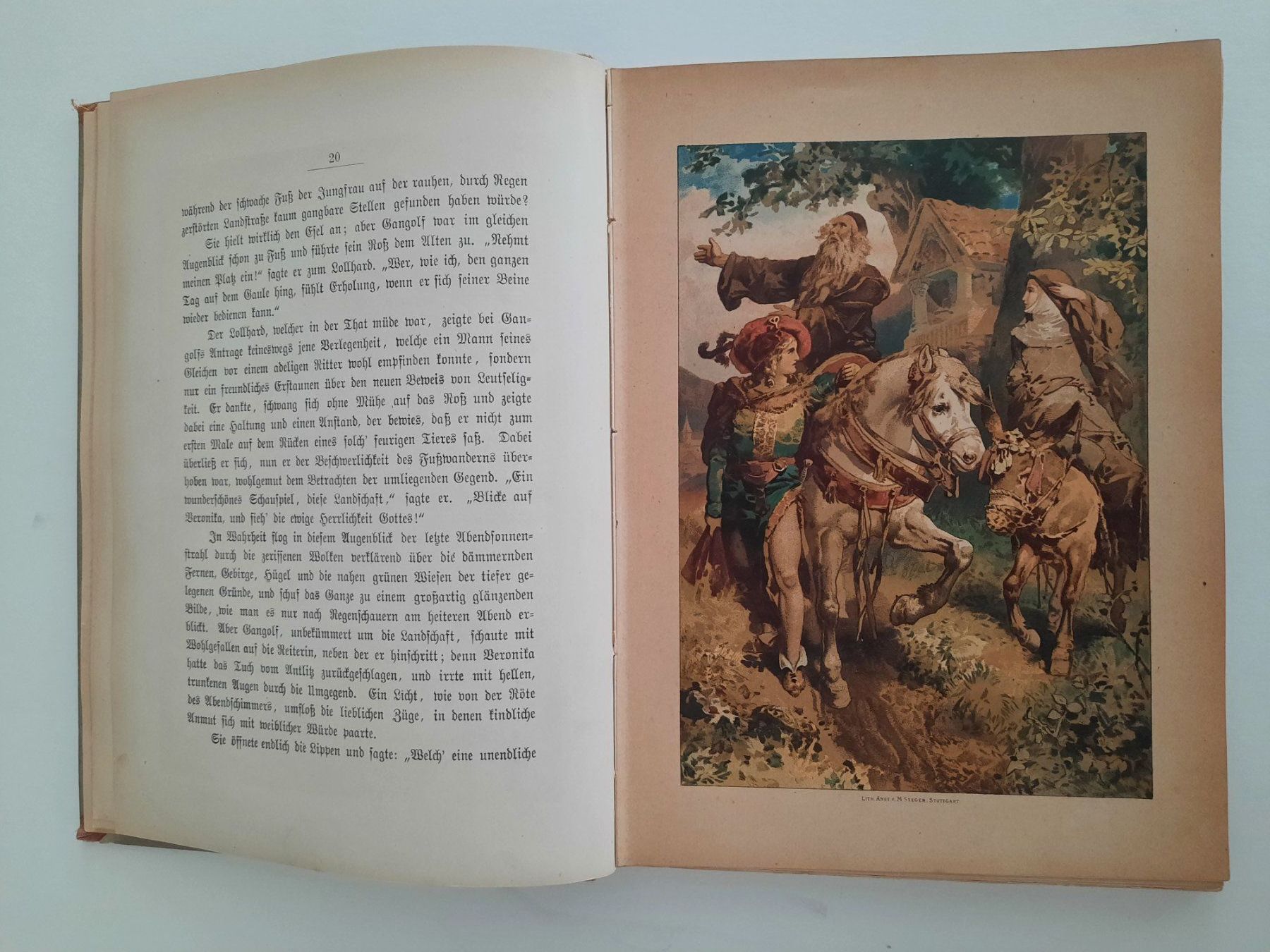 Libri: Der Freihof von Aarau – Usato da Opfikon venduto da Postman0 2