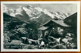 AK: Sennhütte & Jungfrau - Paysan avec ses vaches