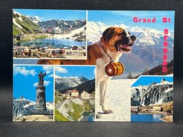 Grand St. Bernard