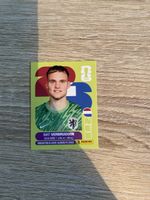 Panini NED 2