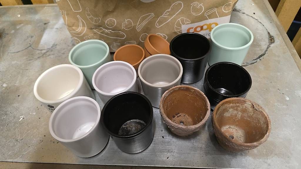 Pots de fleurs: Ton töpfe  – D'occasion à Niederweningen par ste_7rdz 2