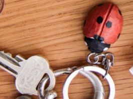 🐞SCHLÜSSELANHÄNGER 🐞MARIENKÄFER🐞 DEKOTEIL 🐞 HOLZ 🐞