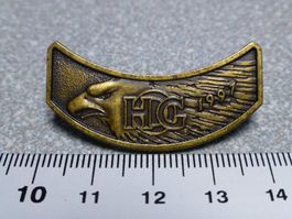 PIN PINS HARLEY DAVIDSON HOG V-TWIN