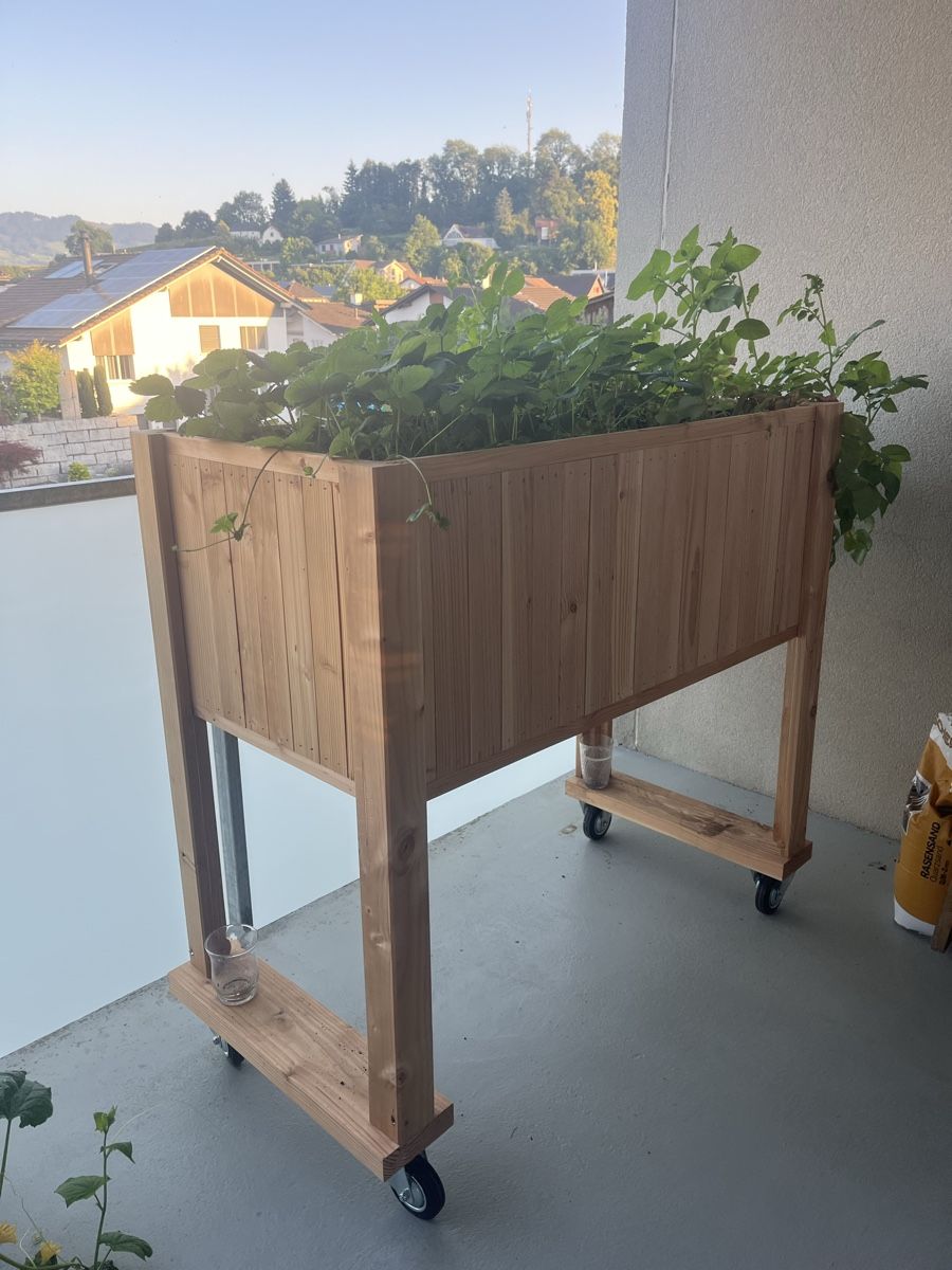 Holzartikel: Hochbeet  – Gebraucht aus Montlingen von schibof_04