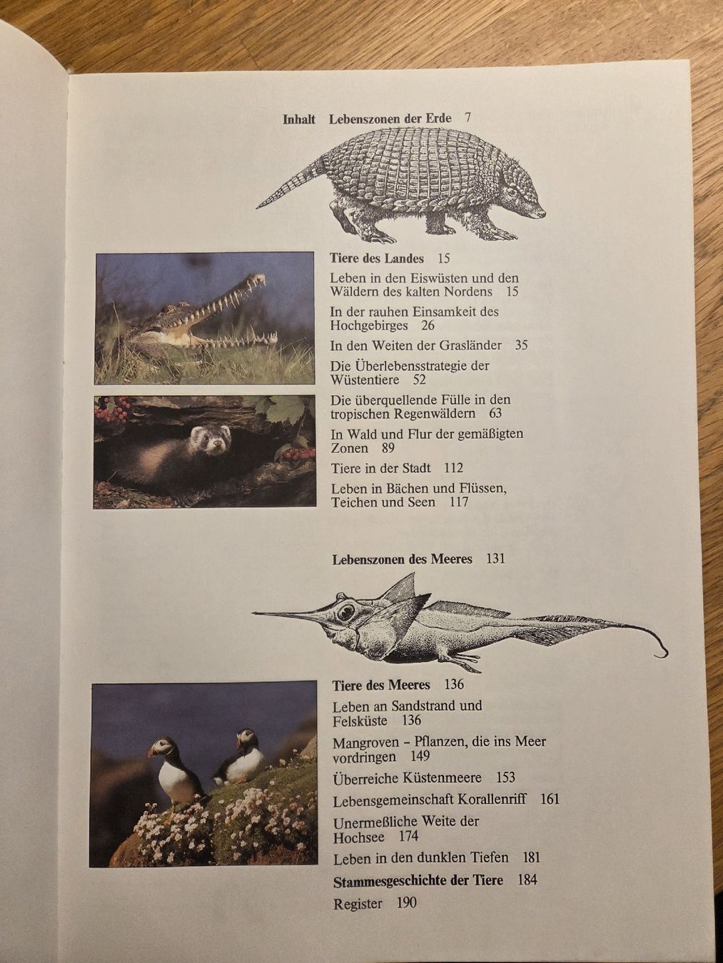 Libri: Faszinierende Tierwelt – Usato da Rafz venduto da leoncupra 2