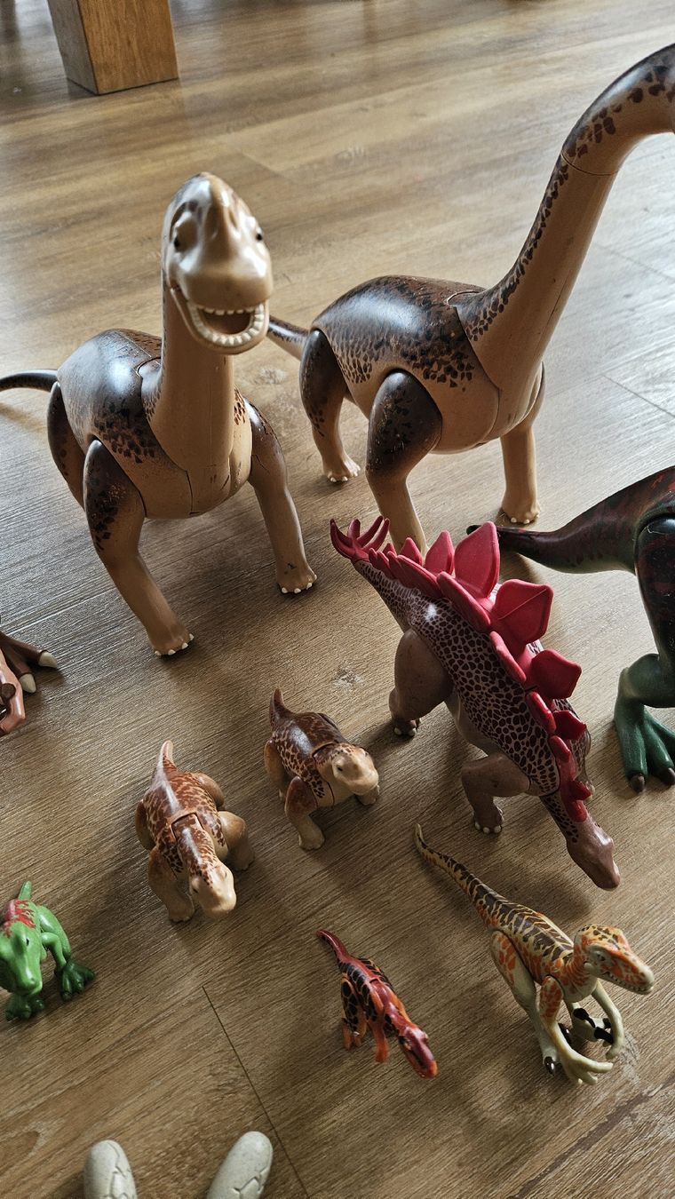 Playmobil Giocattoli: Playmobil Dinosaurier Set diverse  – Usato da Rüti ZH venduto da Pacey0 4