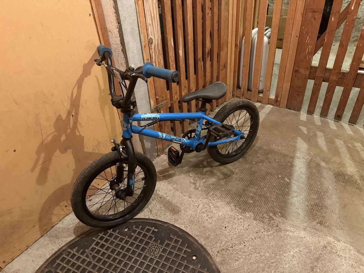 Radio Bikes Biciclette: Radio Dice Kinder BMX – Usato da Basel venduto da Haas4