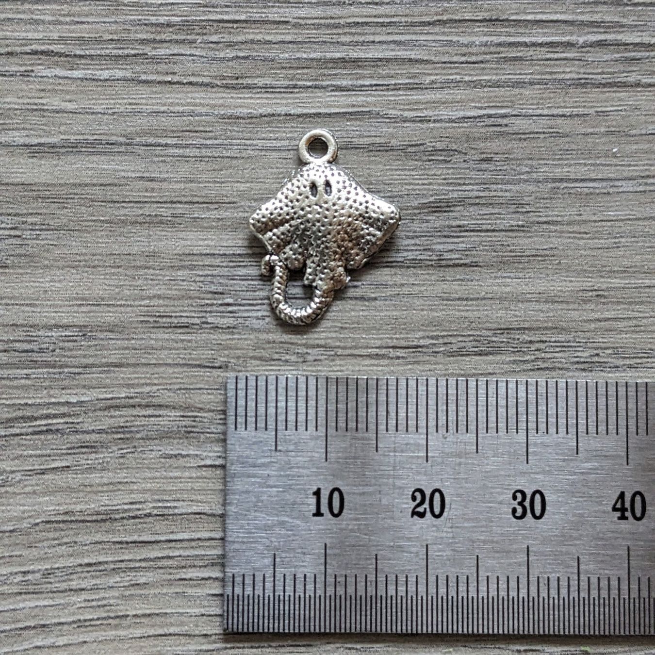 Ciondoli: 9 Charms Raie – Usato da Orsieres venduto da ind_cyg6 2