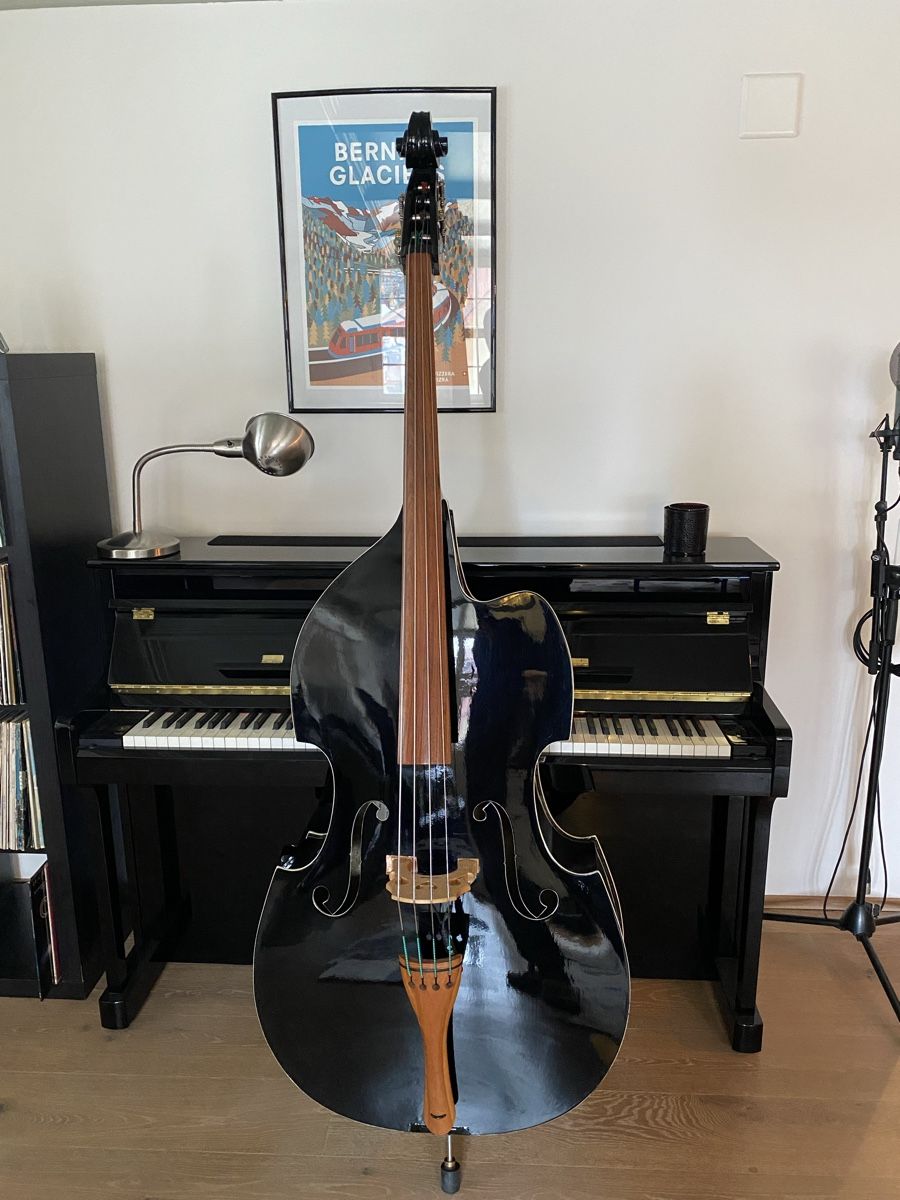 Strumenti musicali: Mark Schuler Kontrabass – Usato da Widnau venduto da Nyffi91