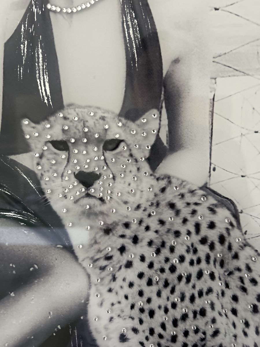 Foto & Immagini: Elegantes Bild "Voyage Champ de Mars Paris" mit Rahmen – Usato da Siebnen venduto da schnell05 2