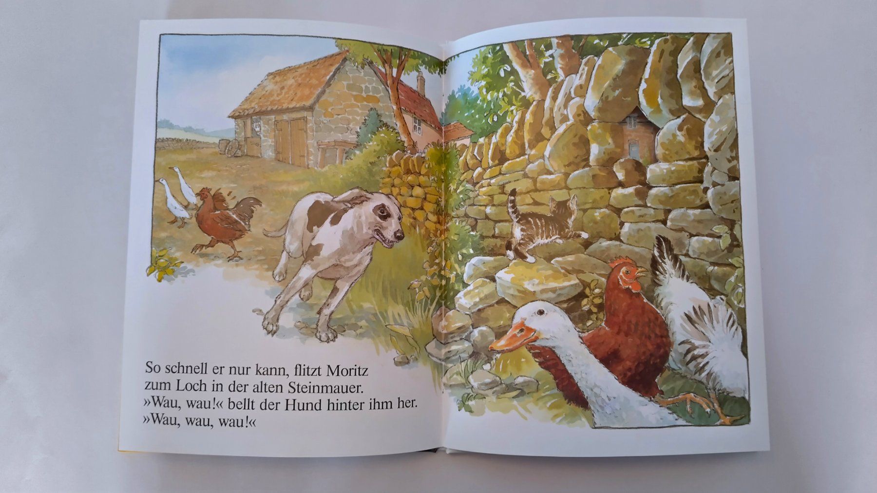 Livres: Moritz, Katzenkind / Katzen Bilderbuch mit Gucklöcher – D'occasion à Bellach par JingleJerry 6