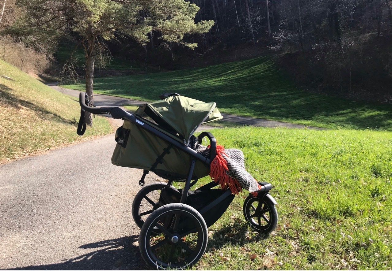 Thule Kinderwagen: Thule Kinderwagen – Gebraucht aus Pfungen von cio_cj95