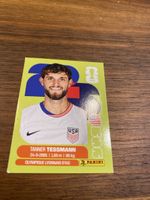 Panini Usa 9