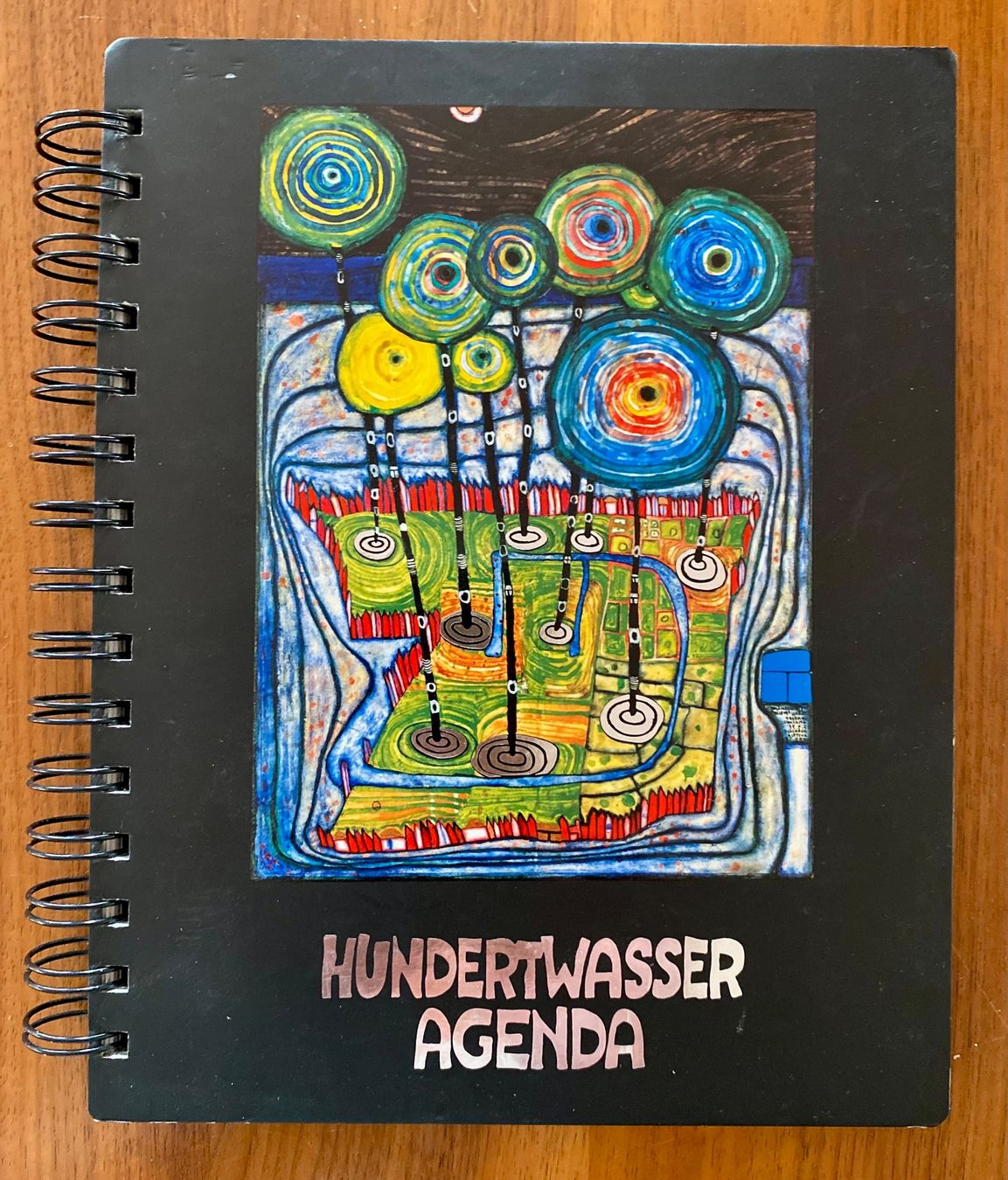 Libri: HUNDERTWASSER AGENDA – Usato da Nussbaumen AG venduto da schuba2000