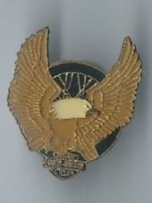 Harley-Davidson Placchette & Badge: Harley-Davidson Pin – Usato da Zürich venduto da t24_de