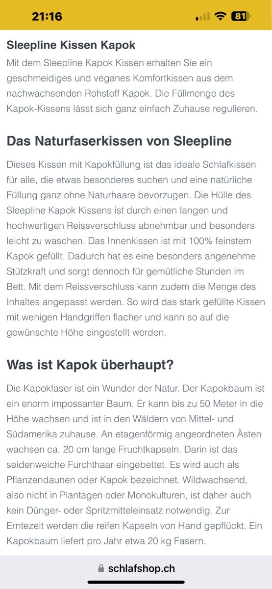 Kissen: Naturkopfkissen – Neu (gemäss Beschreibung) aus Thalwil von gig_k5x7 4