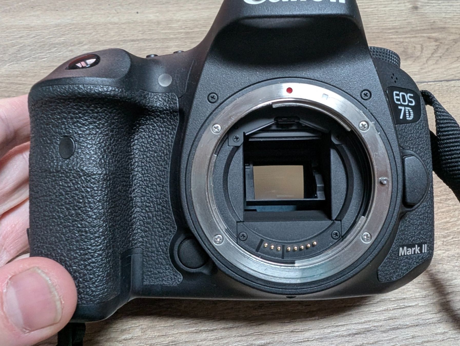 Canon Fotocamera: Canon EOS 7d mark II – Usato da Colombier NE venduto da Hanslepire 4