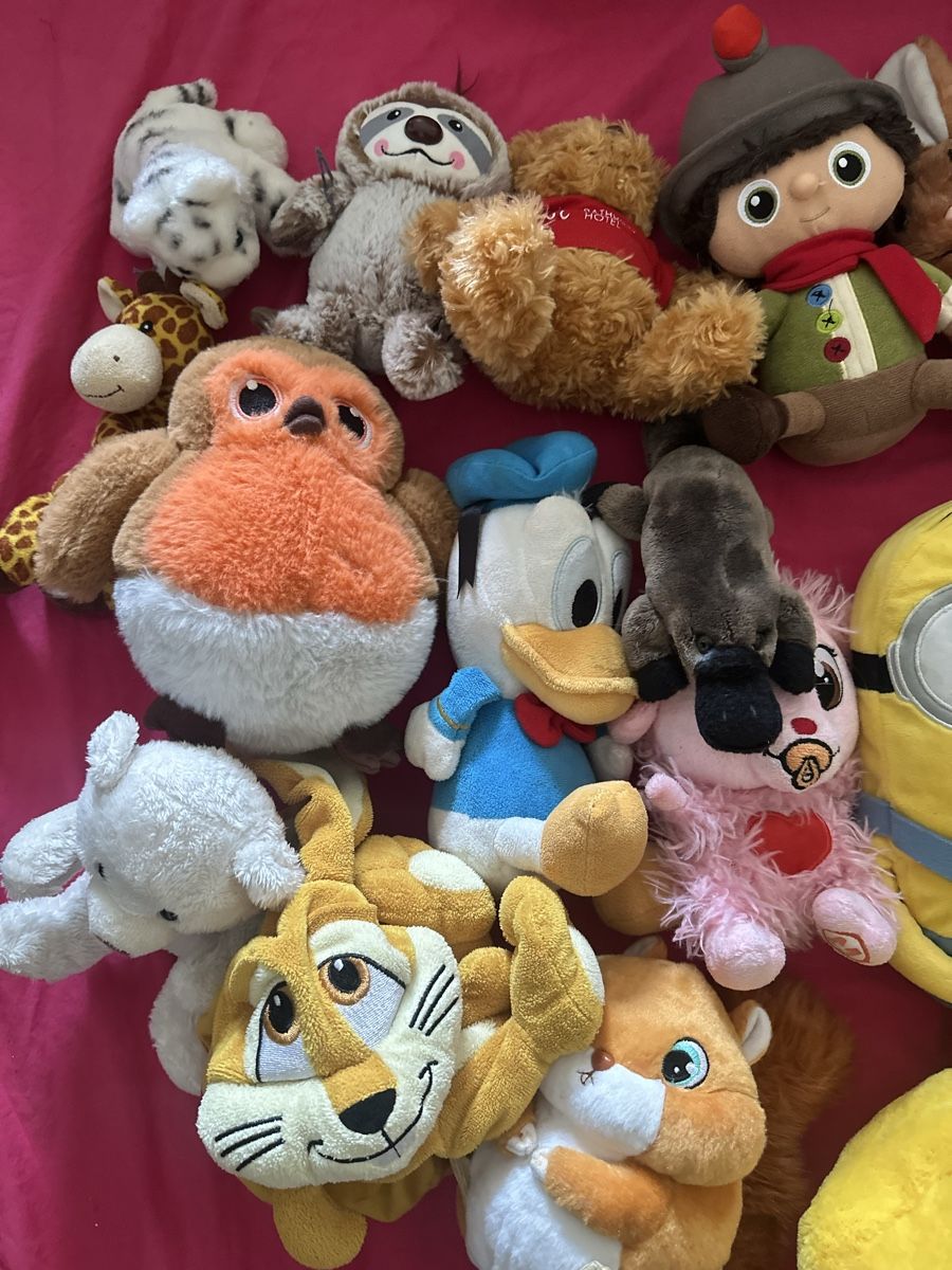 Spiele: Peluche SET  – Gebraucht aus Uster von bek_v2ct 5