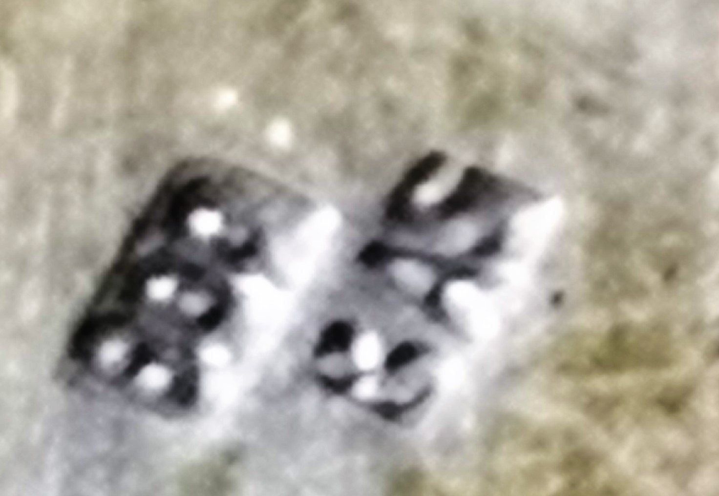 Catenine: Halskette ANTIK mit 7 Schild Silber (#9) – Nuovo (secondo la descrizione) da Lutzenberg venduto da Truhe 3