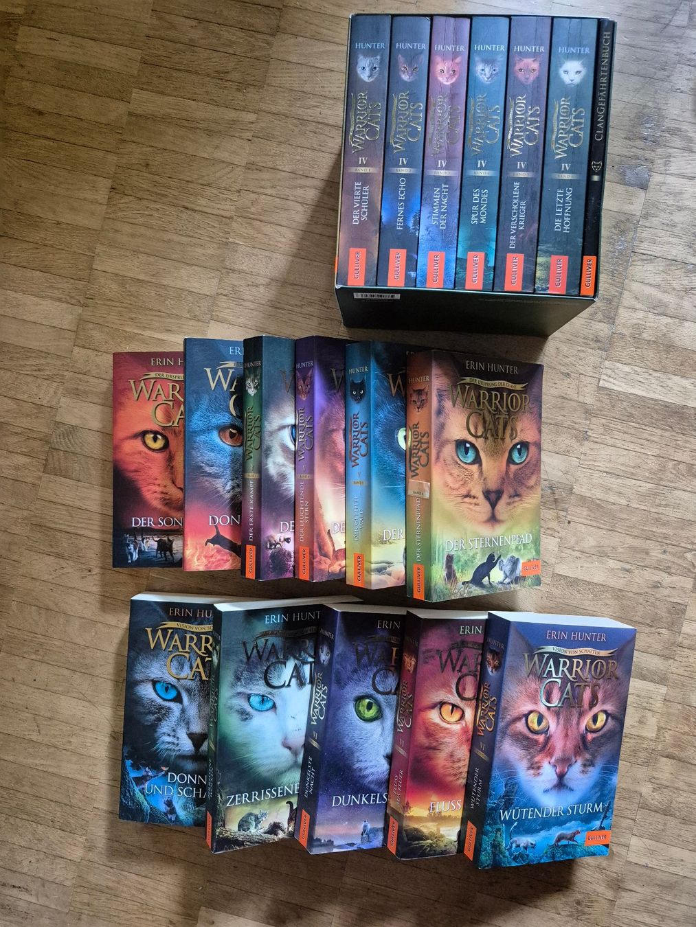 Libri: WARRIOR CATS (STAFFEL 1-6) – Usato da Zürich venduto da Fatpat 3