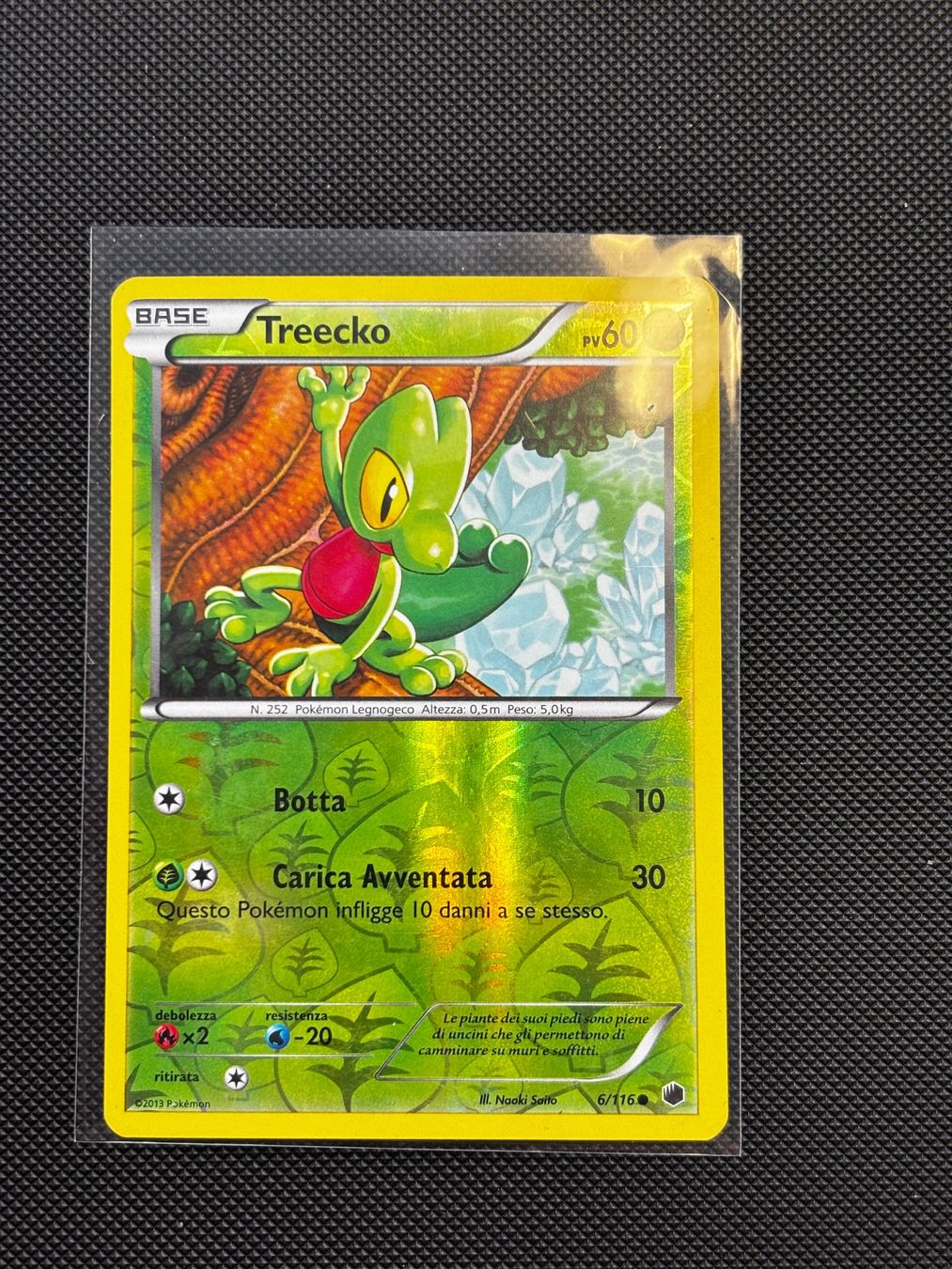 Pokémon Carte collezionabili: It - Treecko Reverse 6/116 - Pokémon – Usato da Neuchâtel venduto da caraadryn