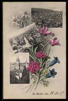 AK St. Gallen, Mehrere Ortsansichten mit Blumen, Edelweiss