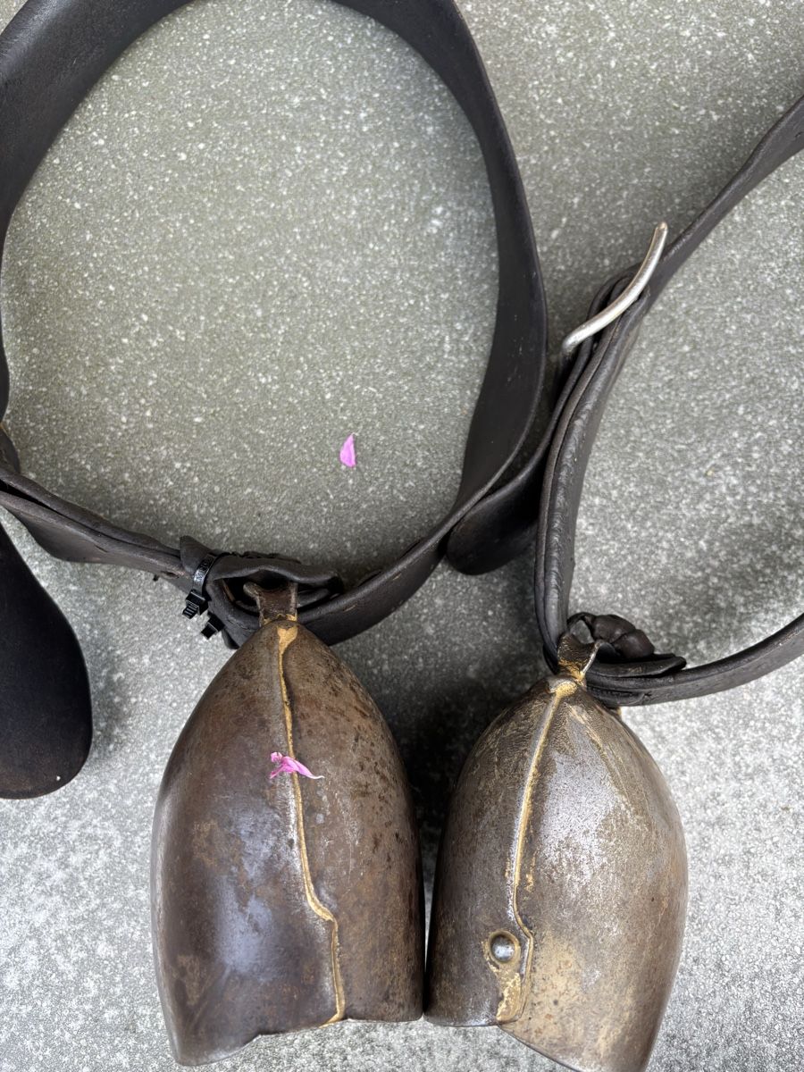 Cloches & sonnailles: Firmann NR 3 und 5 – D'occasion à Schangnau par Roseggli82 6