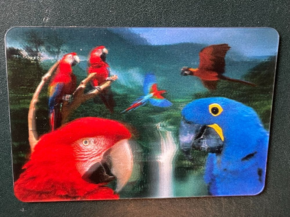 Souvenir Magnet Argentinien - Wasserfall & Papagei Kühlschrankmagnet 7x6x1 Cm