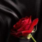 Profile image of Womeninred