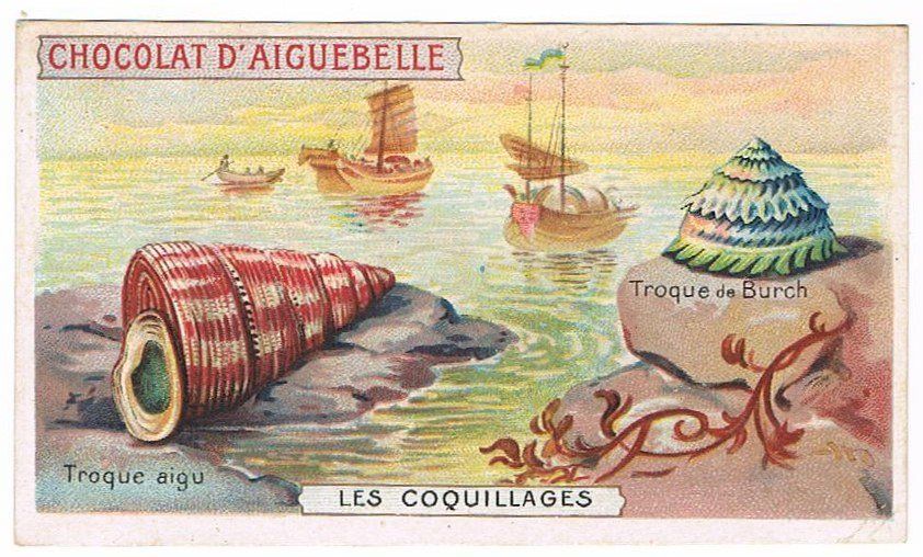 Grafica & Litografie: Cartes publicitaires - Chromo – Usato da Genève venduto da edelweiss1900 2