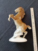 Porzellanfigur "Steigendes Pferd" - Wagner&Apel / Gräfenthal
