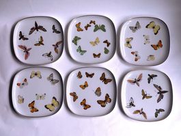 Vintage*Lagenthal*Butterfly*Teller*SET*6-tlg. *****