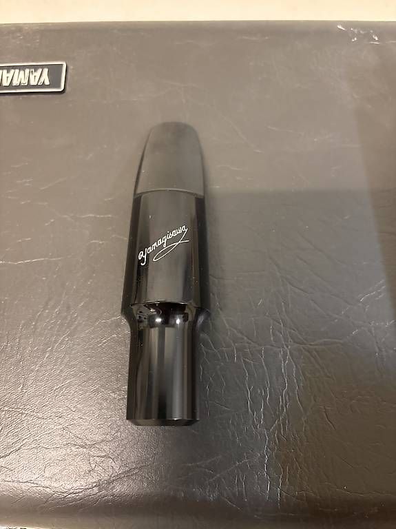 Strumenti musicali: Yanagisawa Alto Sax Ebonite 5 – Usato da Bern venduto da RinBern 3