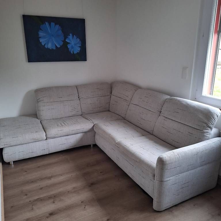 Divani: Sofa – Usato da Lanzenneunforn venduto da vario714