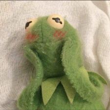 Profile image of kermit17
