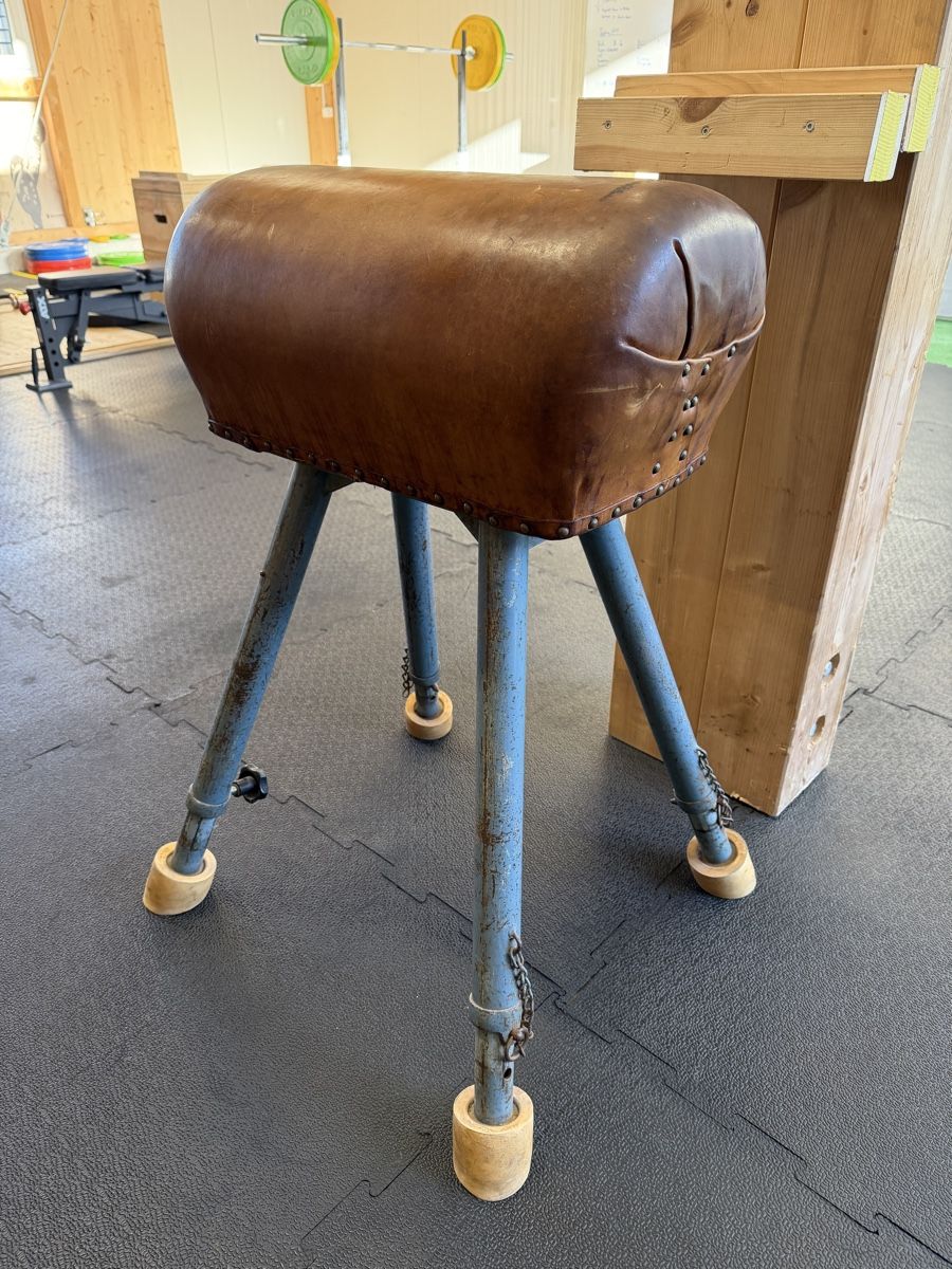 Hocker: Springpferd/ Pommel Horse – Gebraucht aus Wöschnau von Nicaj