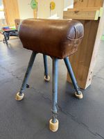 Springpferd/ Pommel Horse