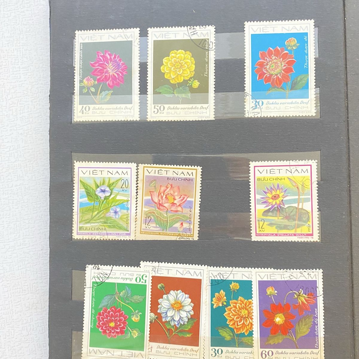 Tutti i francobolli: Stamp Collection - Various Themes, Worldwide, Collection – Usato da Jona venduto da Ksander17 9