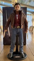 Seltene Hot Toys Wolverine X-Men Origins Limited Edition 1/6