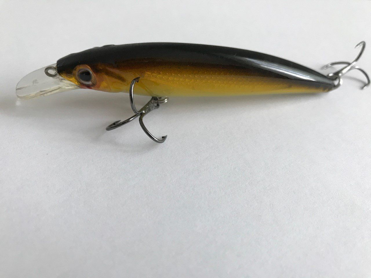 Esche: Wobler 11cm >>>sofort lieferbar <<< – Nuovo e nell'imballaggio originale da Selzach venduto da Neptun 2