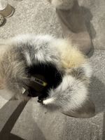 Manas Stiefeletten mit Kaninchenfellbesatz 