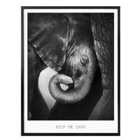 Poster Das Elefantenbaby 50x60cm (neu, UVP 36.90 Fr.)