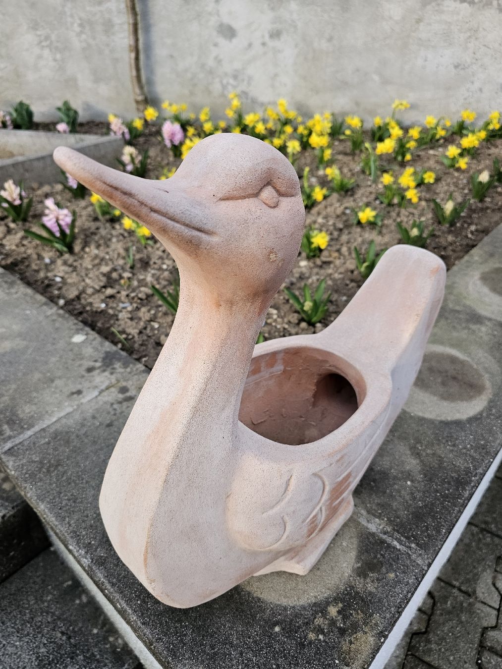 Vasi per fiori: Blumentopf Terracotta Schwan – Usato da Villnachern venduto da hasta08 1