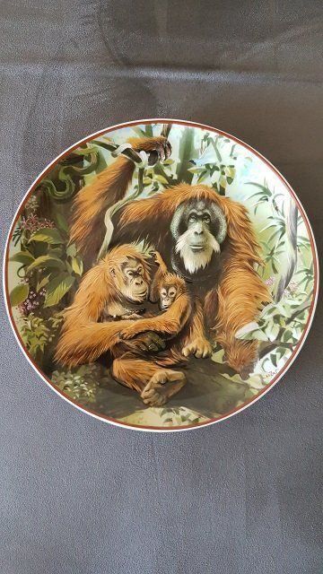 Piatti: Wandteller Motiv "Orang-Utan" – Usato da Giswil venduto da online-Brockenhaus