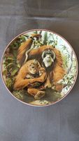 Wandteller Motiv "Orang-Utan"