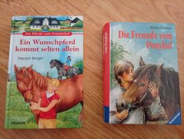 2 Pferdebuch Romane Friesenhof Ponyhof gebraucht