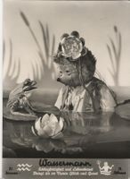 Mecki, Igel, Frosch, Wassermann
