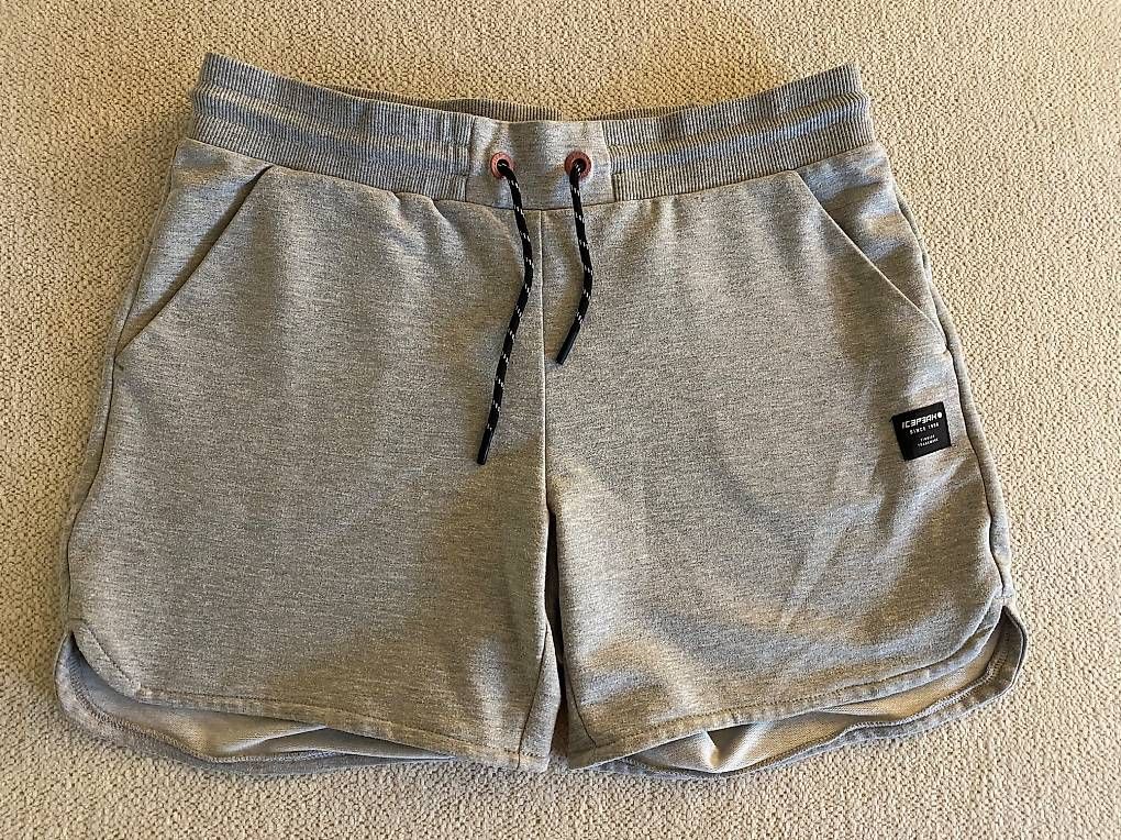 Icepeak Hosen: Icepeak Shorts Grau Gr. M – Gebraucht aus Winterthur von car_gn8b