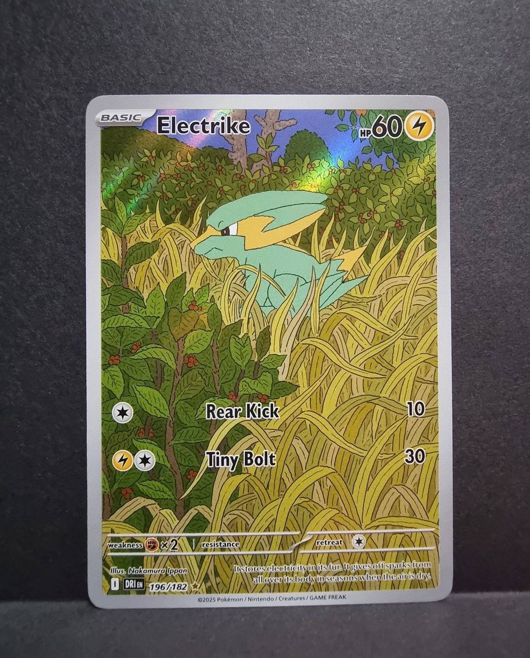 Pokémon Electrike 196/182 Destined Rivals 🇱🇷 (Neu (gemäss Beschreibung ...
